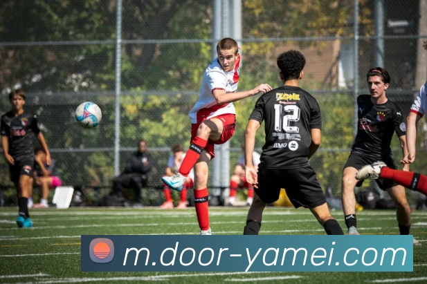 亚美体育平台生态图